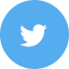 twitter icon